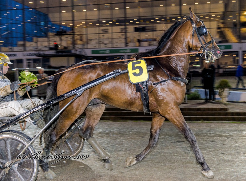 FIRST BLOOD MGL1386