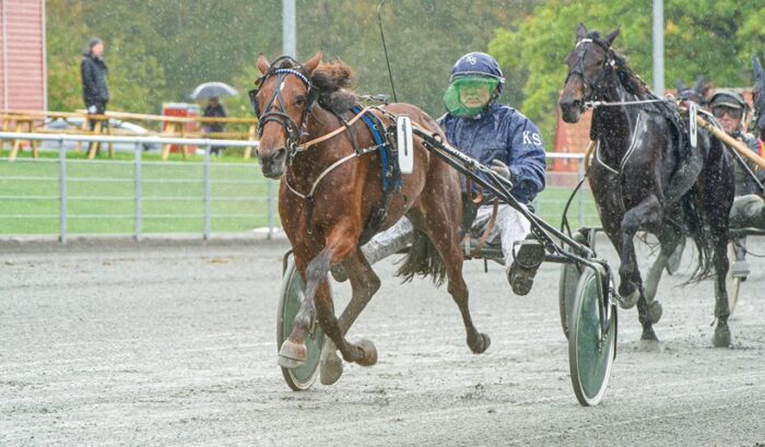 Ytowns Carmen med Kenn Str by Bornholms Brand Park 5 oktober 2019 Fotograf Torben Ager Travfoto Bornholm TKA 2254 e1606948369874
