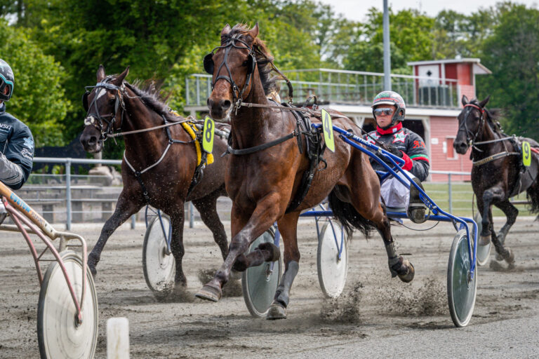 Easy Winner med Anders F Jensen Bornholms Brand Park 7 juni 2020 Fotograf Torben Ager Travfoto Bornholm TKA 3271 scaled 1