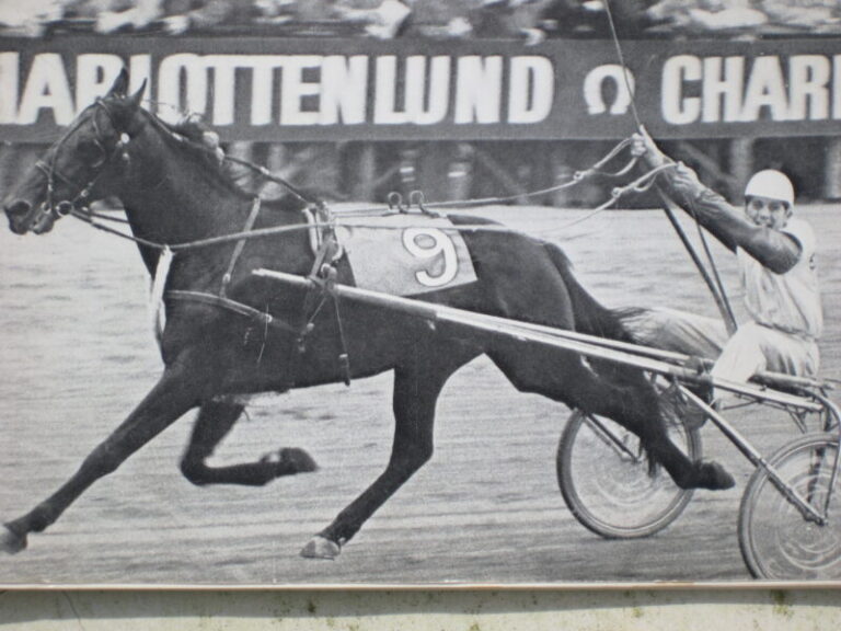 Ikaros vinder NM scaled e1632219752575