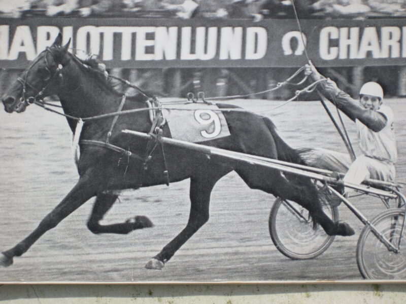 Ikaros vinder NM scaled e1632219752575