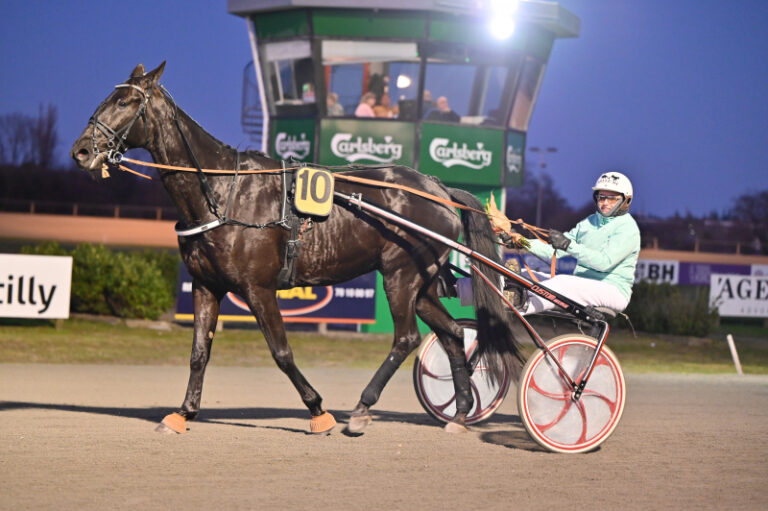 BORNTOWIN DSC 7537