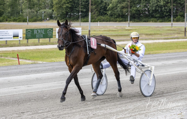 Finest Aveve B Svendsen