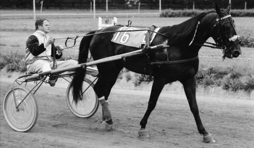 Preben Munch Gulla Hanover