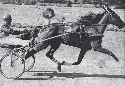 Preben Munch Ulla Hanover