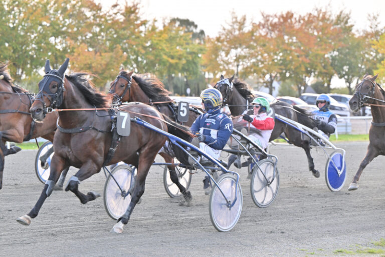 HARBOE NZ9 1501