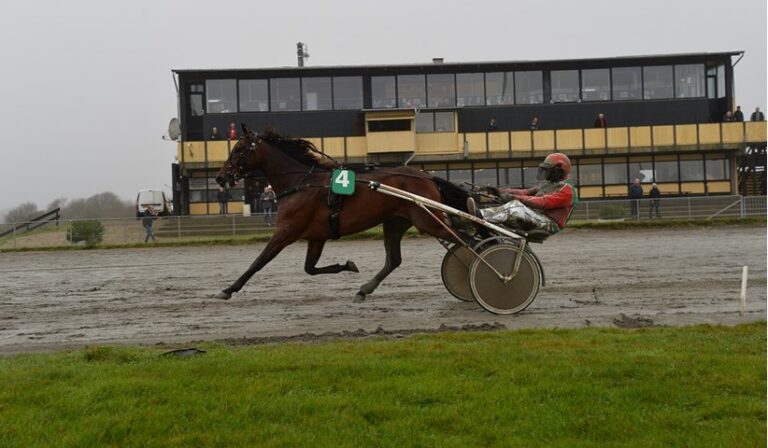 Frodo Cash 221126