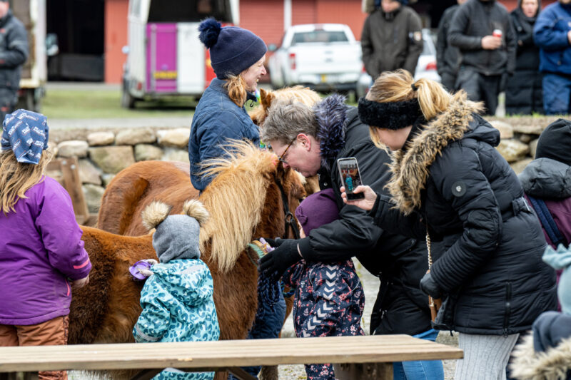 Bornholms Brand Park 1 april 2023 Fotograf Torben Ager Travfoto Bornholm TKA 1365 scaled e1680354052629