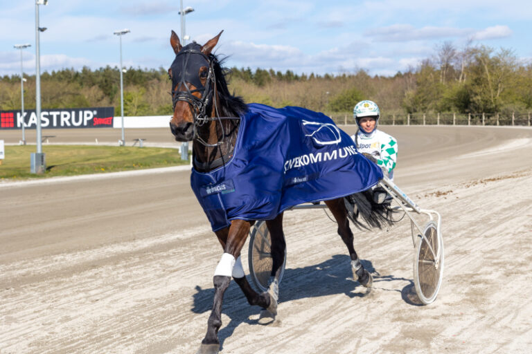 generalen 3