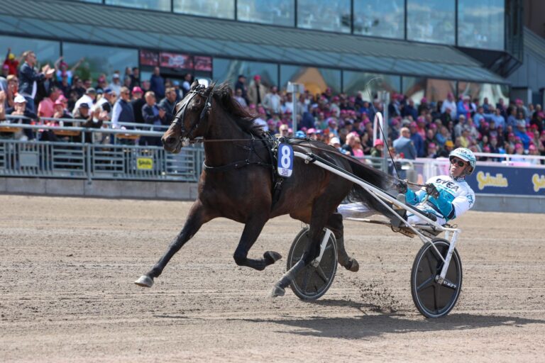 350359401 300520955632175 4004551460999266223 n