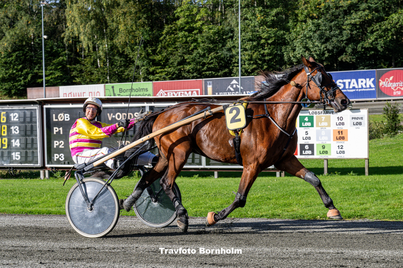 So Tough med Ole Bager Bornholms Brand Park 7 oktober 2023 Fotograf Torben Ager Travfoto Bornholm TKA 0406