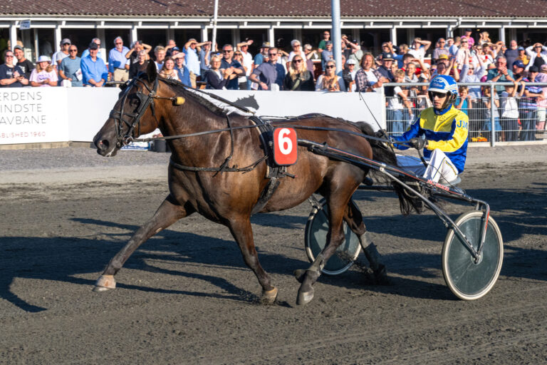 Hi Was The Night med Jonas MIkkelsen 31 juli 2024 Fotograf Torben Ager Travfoto Bornholm TKA 6492 scaled 1