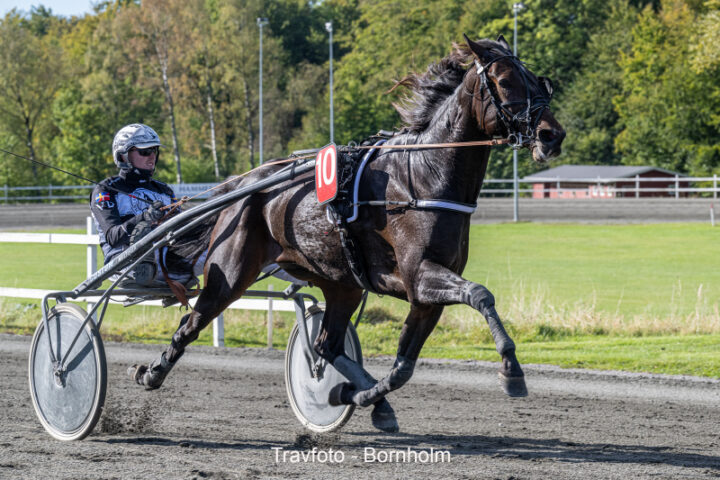 Fossa med Victor Rosleff 5 oktober 2024 Fotograf Torben Ager Travfoto Bornholm TKA 0910 1 720x480 1