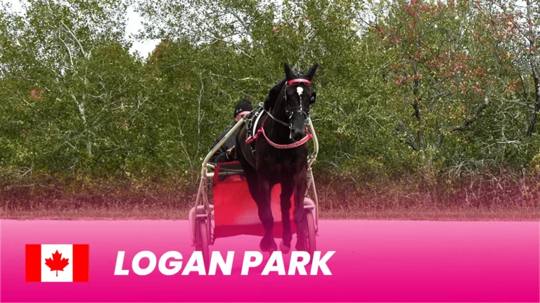 Logan Park 1920x1080 1