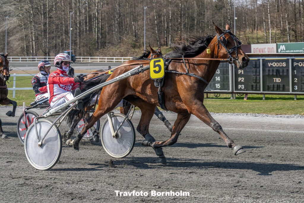Itziar med Mads Petersen 13 april 2025 Fotograf Torben Ager Travfoto Bornholm TKA 7200