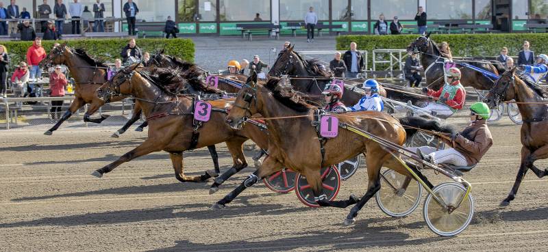 Starten Copenhagen Cup 2021 D2I8680 1