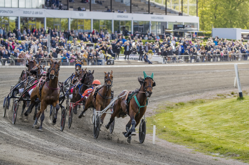 Sving Copenhagen Cup 2019 11I8676