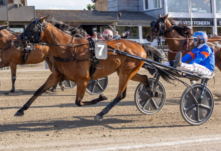 DANIEL AUTRICHE SE 1