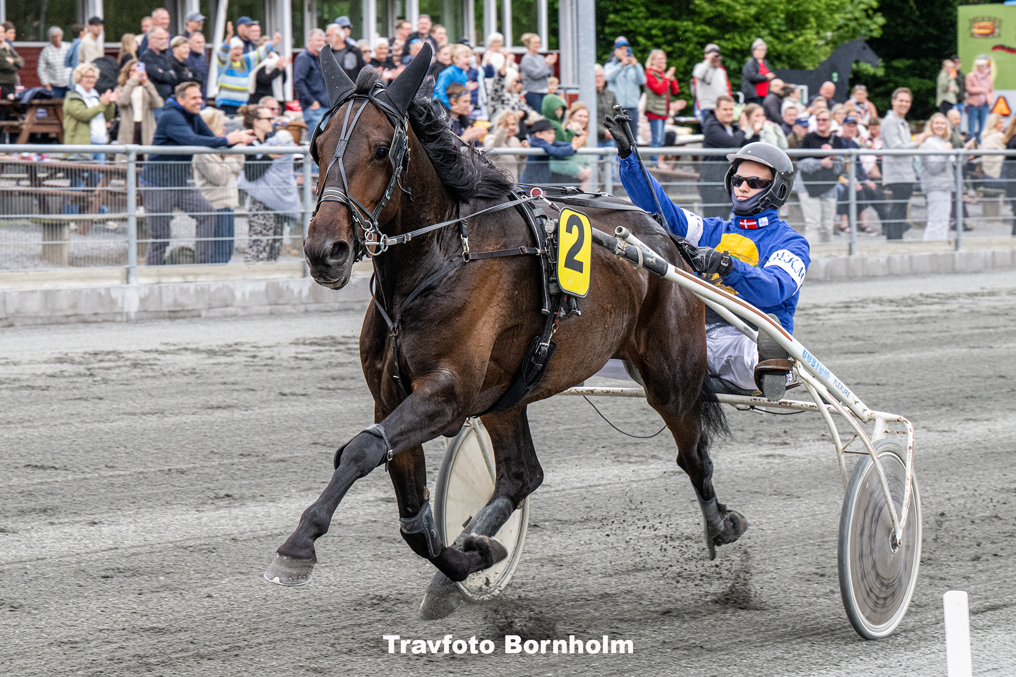 Inter Flamingp med Mads K Mogensen 5 juni 2025 Fotograf Torben Ager Travfoto Bornholm TKA 0556 1