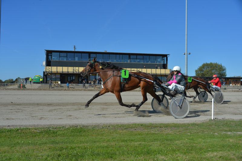 Hester Bl bjerg 250927 1