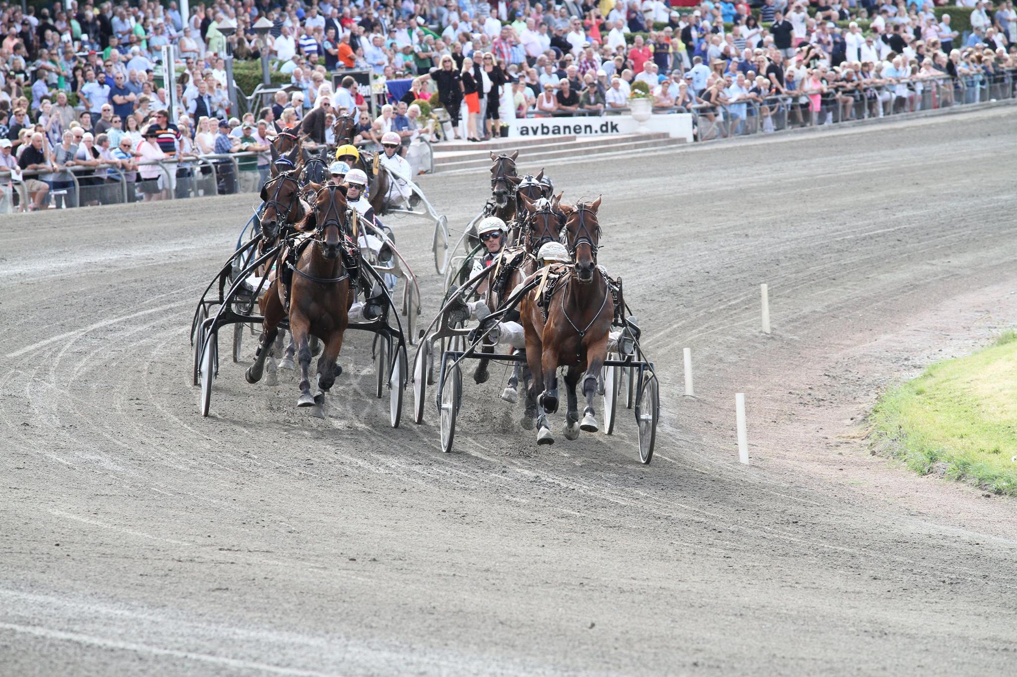 Charlottenlund Travbane 10