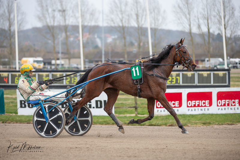 AY2X8009 kopier