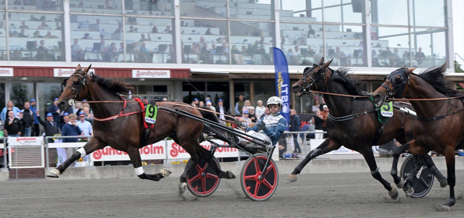 Dansk på Vincennes – stærk repræsentation på en spændende løbsdag