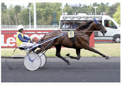 Salgsannonce – Ny pris eller bud