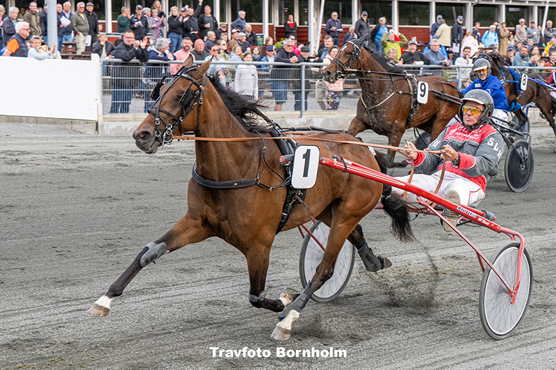 Kaasgaard med Stefan Lind Holm 17 juni 2025 Fotograf Torben Ager Travfoto Bornholm TKA 2410