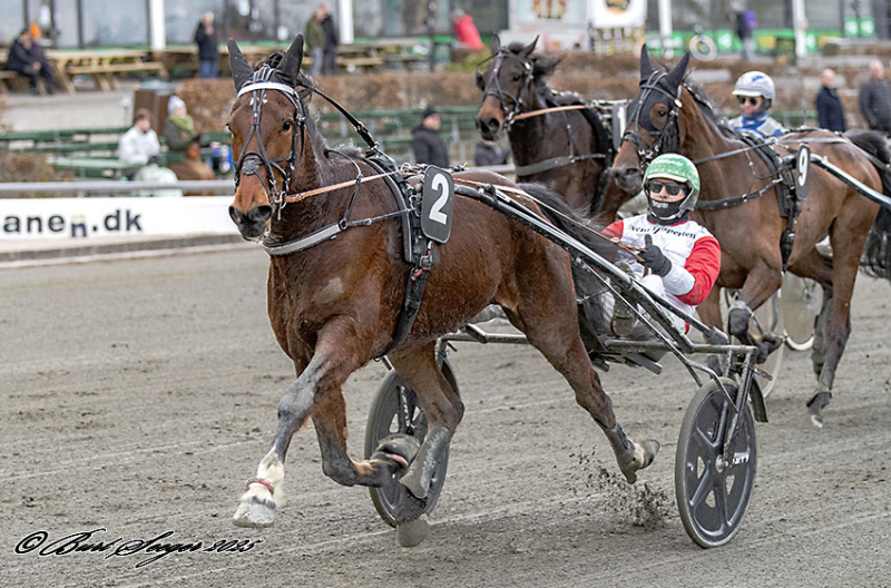LUDVIG CASH S2 5212